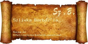 Szlivka Borbála névjegykártya